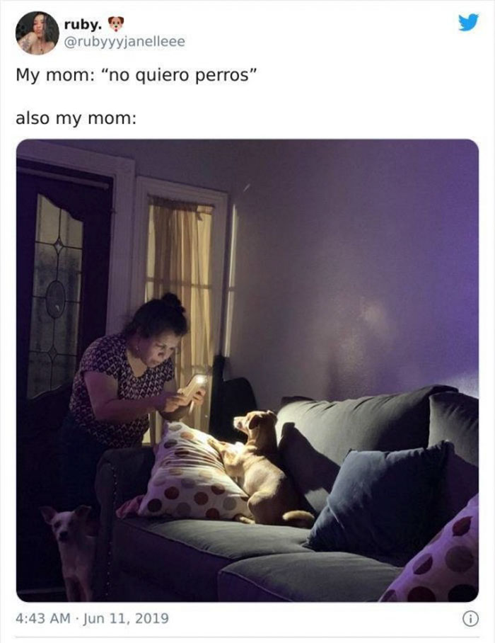 mom who didnt want a damn dog