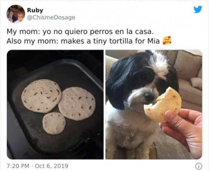 mom who didnt want a damn dog