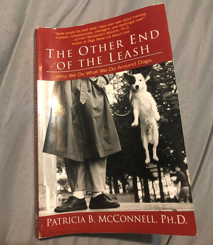 Other End of the Leash