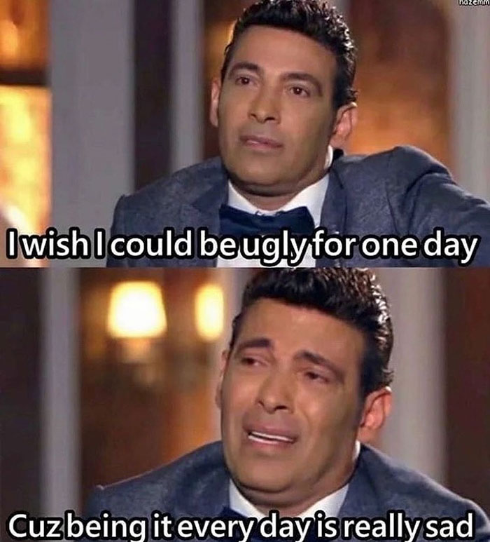 funny memes and funny pictures
