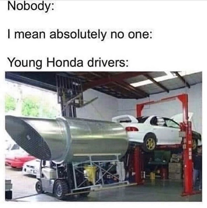 funny memes and funny pictures