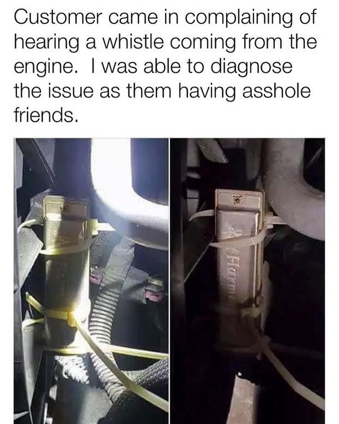 funny memes and funny pictures