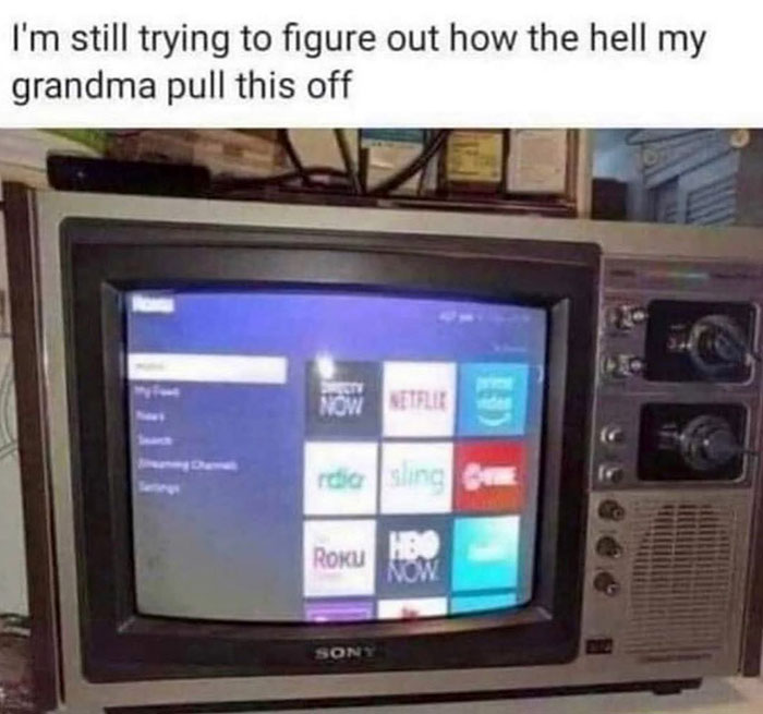 funny memes and funny pictures
