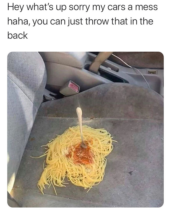 funny memes and funny pictures