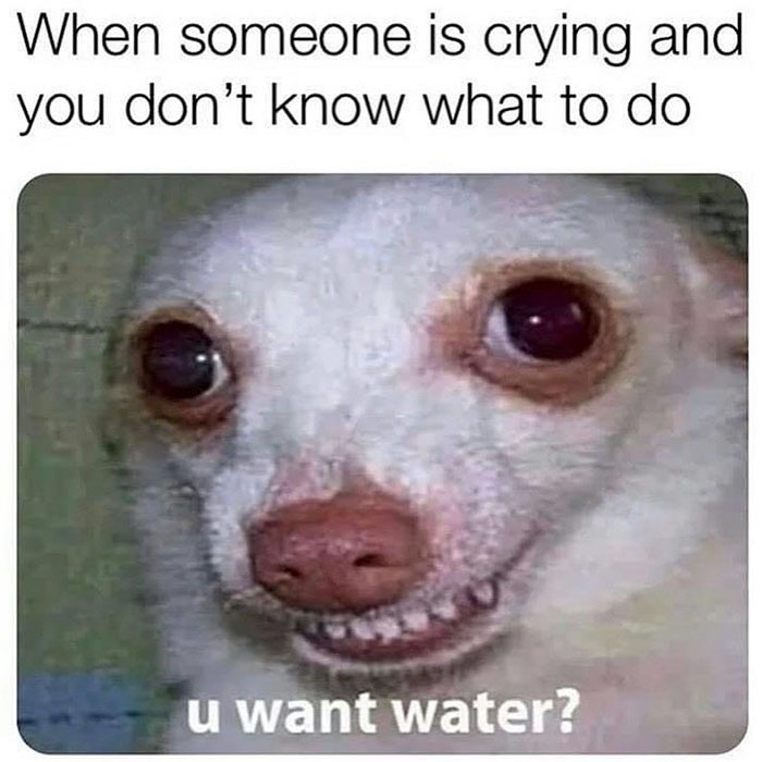 funny memes and funny pictures