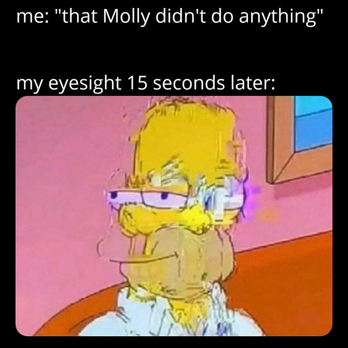 funny memes and funny pictures