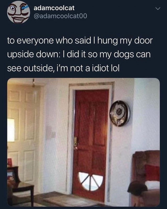 funny memes and funny pictures