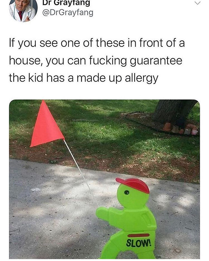 funny memes and funny pictures