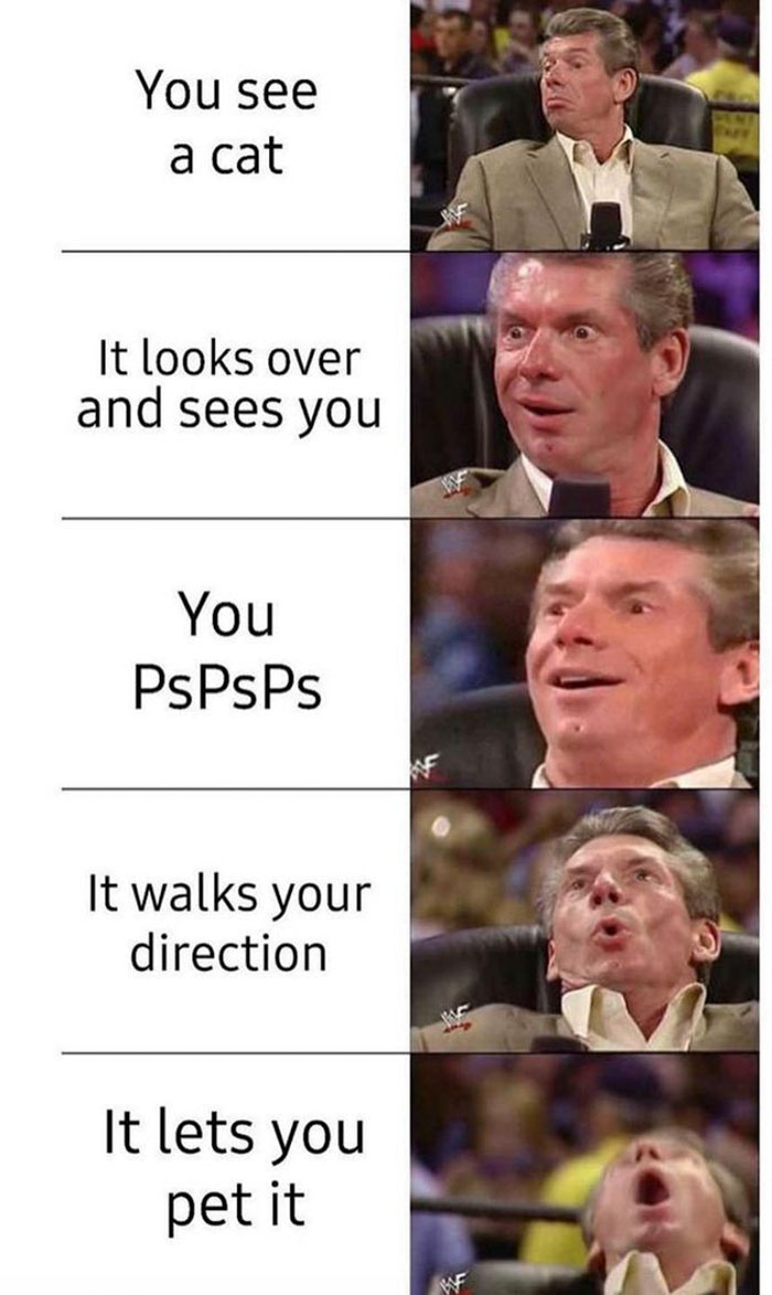 funny memes and funny pictures