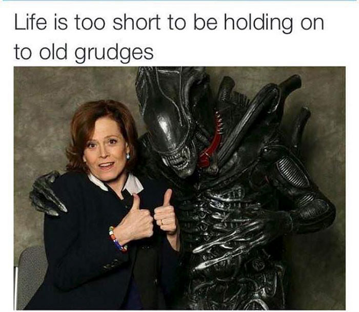 funny memes and funny pictures