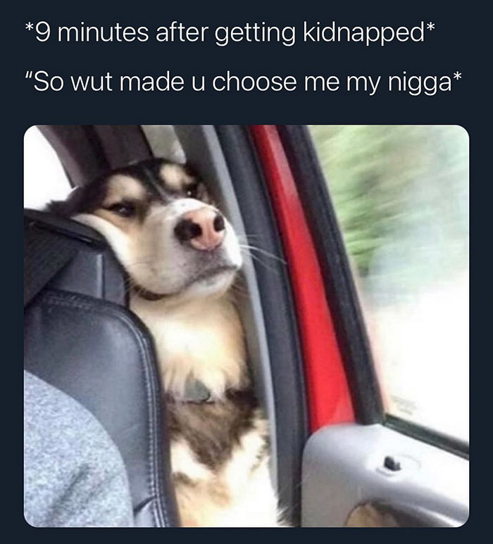 funny memes and funny pictures