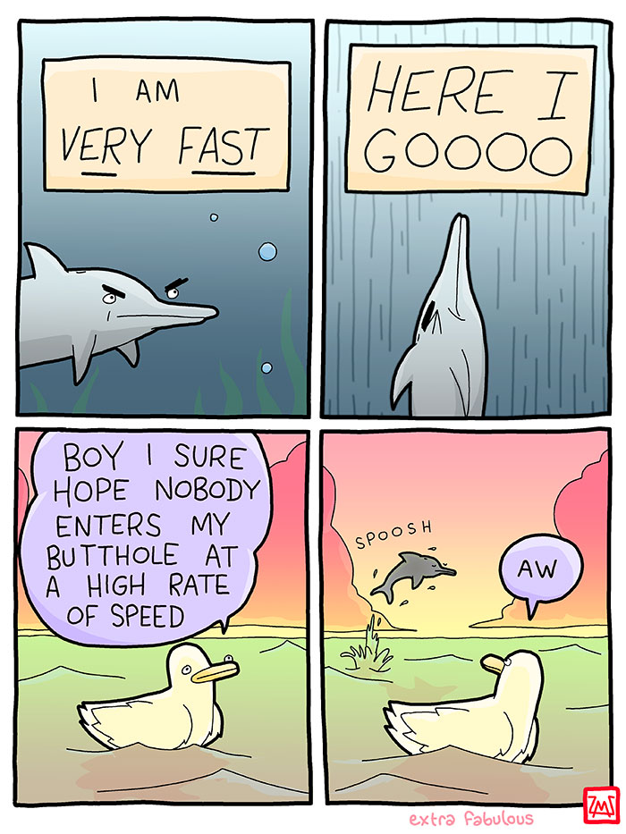 funny memes and funny pictures