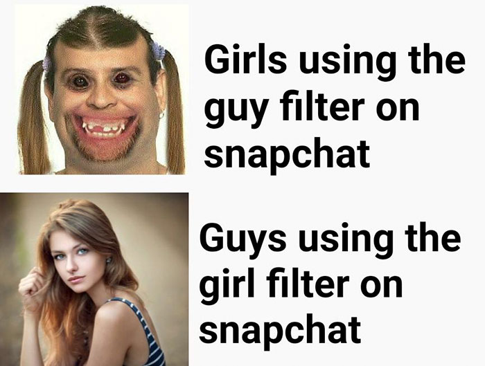 funny memes and funny pictures